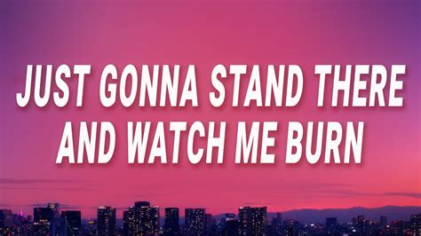 lyrics watch me burn|just gonna stand there and hear me cry.